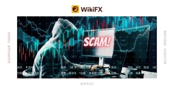 scam scam
