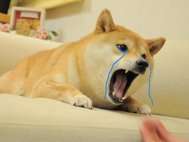 2.png 2.png