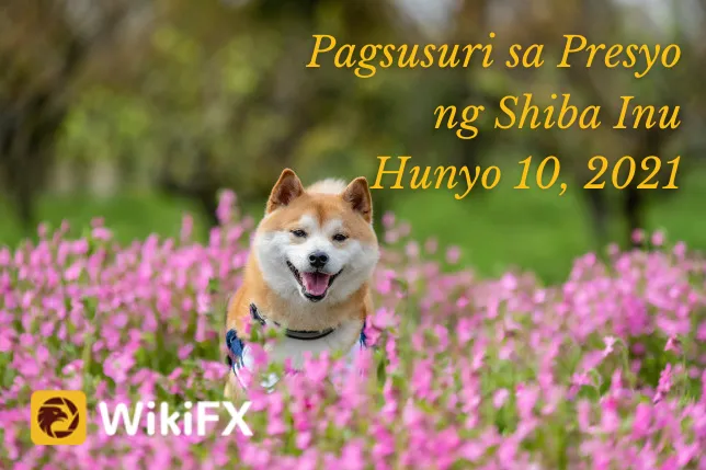 Pagsusuri Pagsusuri
