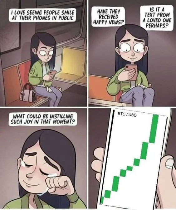 why why