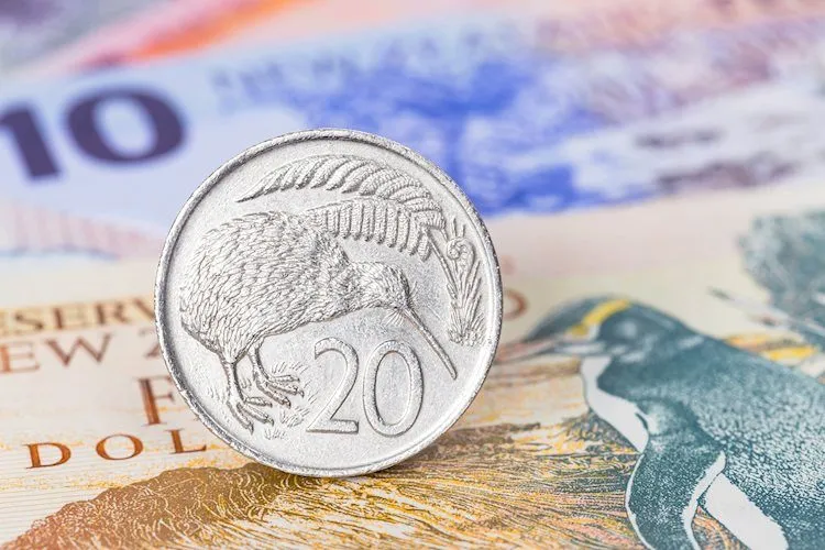 new-zealand-dollar-money-banknote-close-up-with-coins-46219248_Large.jpg new-zealand-dollar-money-banknote-close-up-with-coins-46219248_Large.jpg