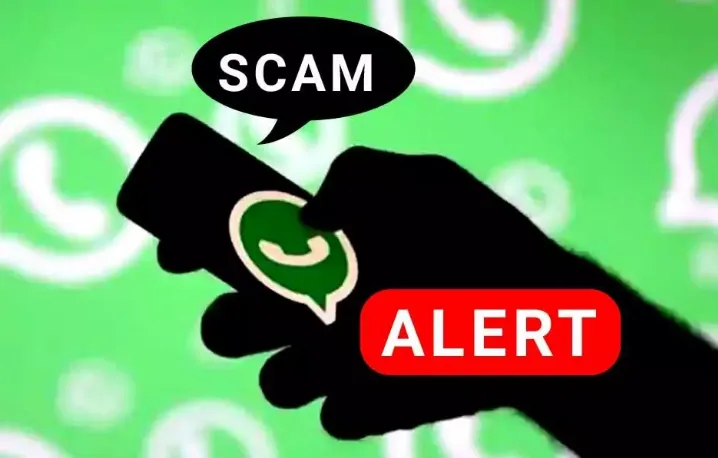 图片1.png 图片1.png