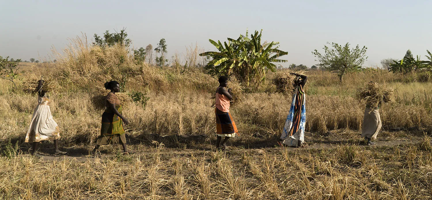 paisaje_de_sudan_del_sur_en_africa_subsahariana_web.jpg paisaje_de_sudan_del_sur_en_africa_subsahariana_web.jpg