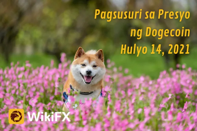 Pagsusuri Pagsusuri