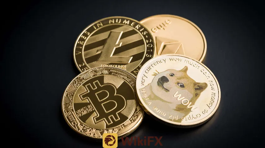 wikifx 