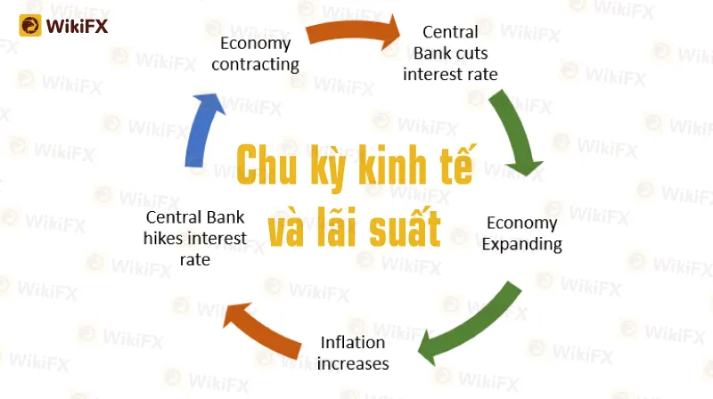 Kinh-Nghiem-Dau-Tu-Jul-30-3.jpg Kinh-Nghiem-Dau-Tu-Jul-30-3.jpg