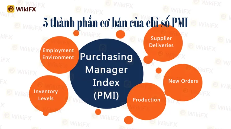 Kien-thuc-can-ban--Aug-09-2.jpg