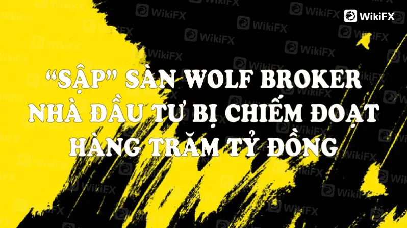 SÀN WOLF BROKER “SẬP”, CHIẾM ĐOẠT HÀNG TRĂM TỶ ĐỒNG
