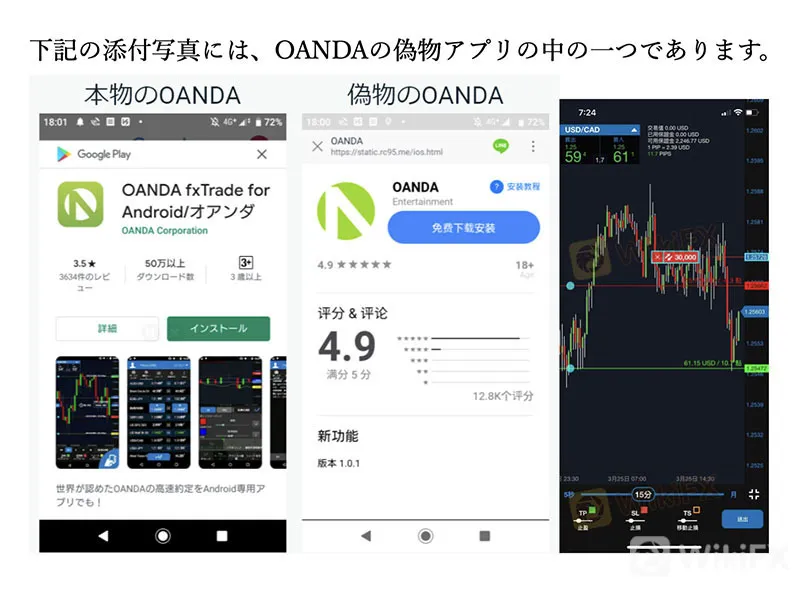 wikifx 