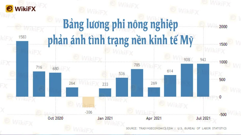 Kien-thuc-can-ban--Aug-30-2.jpg Kien-thuc-can-ban--Aug-30-2.jpg