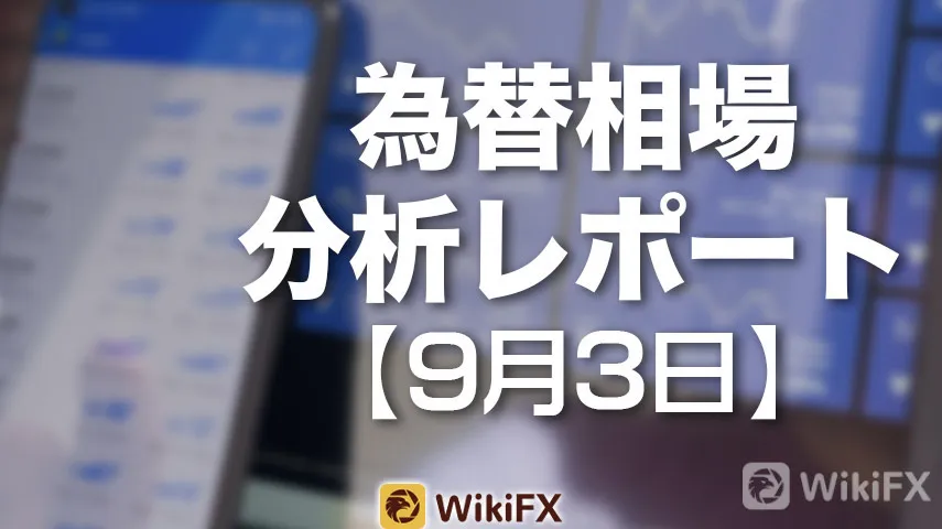 毎日分析レポート 毎日分析レポート