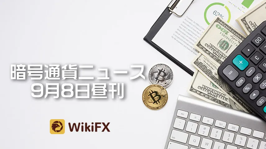 wikifx 
