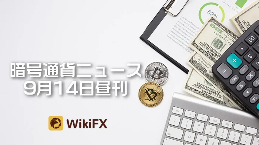 wikifx wikifx