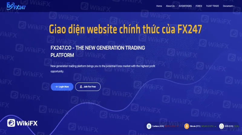 scam-Oct-03-2.jpg