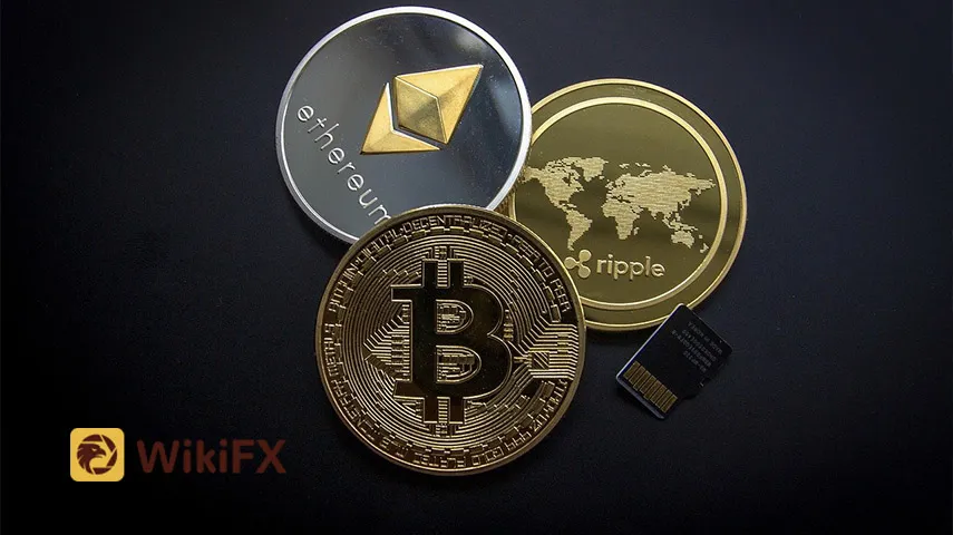 wikifx wikifx