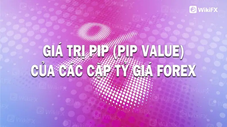 GIÁ TRỊ PIP (PIP VALUE) CỦA CÁC CẶP TỶ GIÁ FOREX 