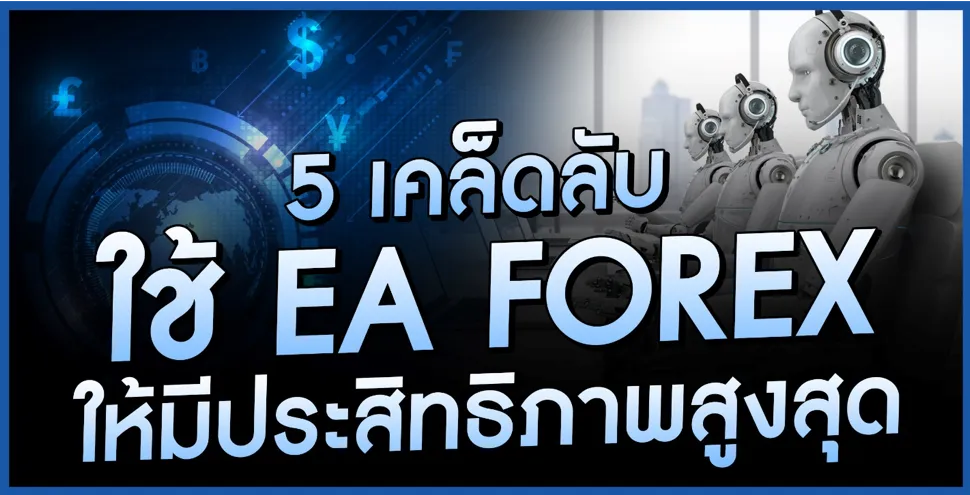 1.png 1.png