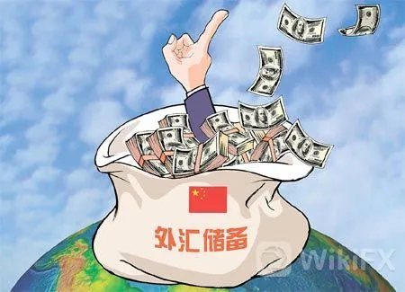 外汇储备 外汇储备