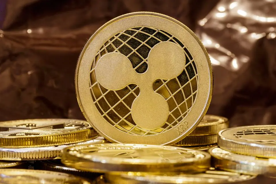 XRP.jpg XRP.jpg