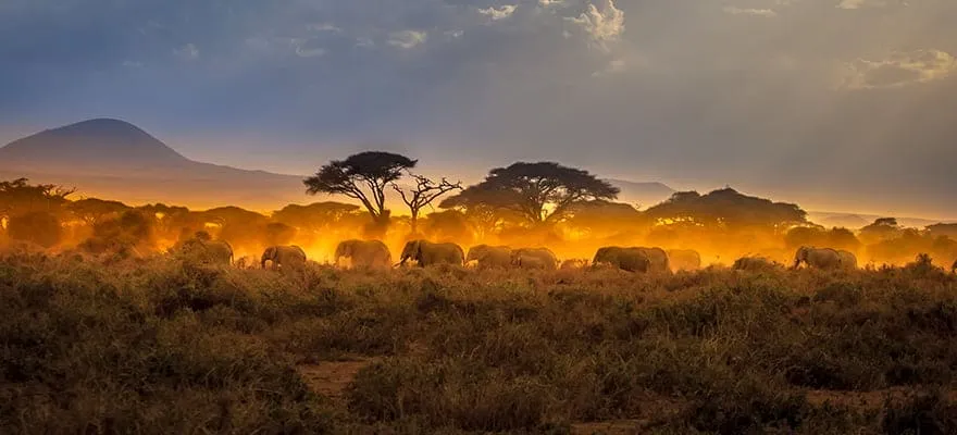 Africa-min.jpg Africa-min.jpg
