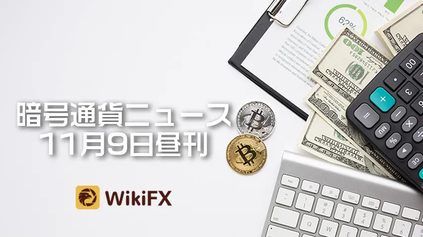 wikifx wikifx
