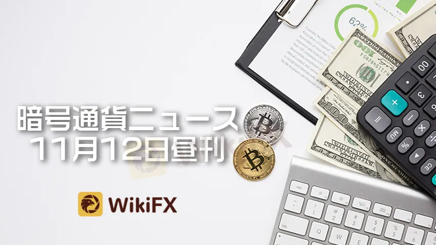 wikifx 