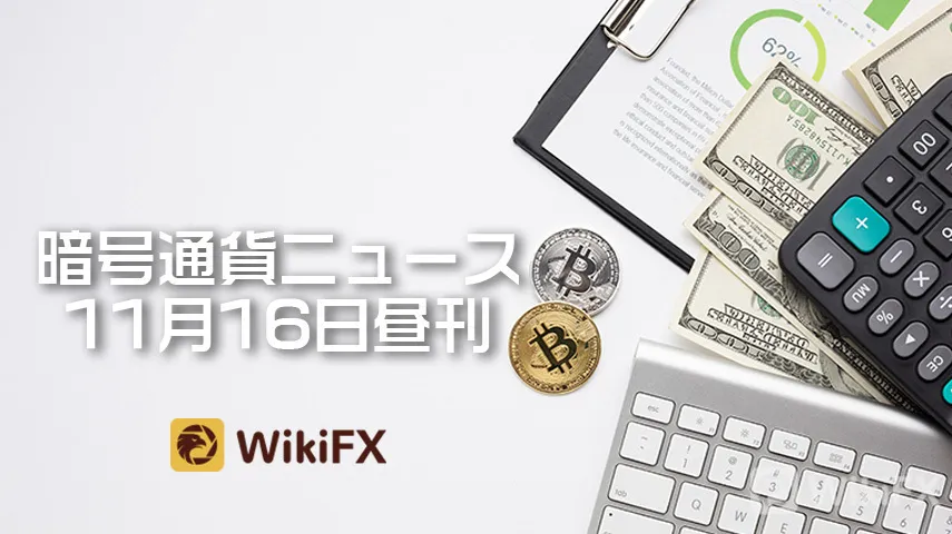 wikifx wikifx
