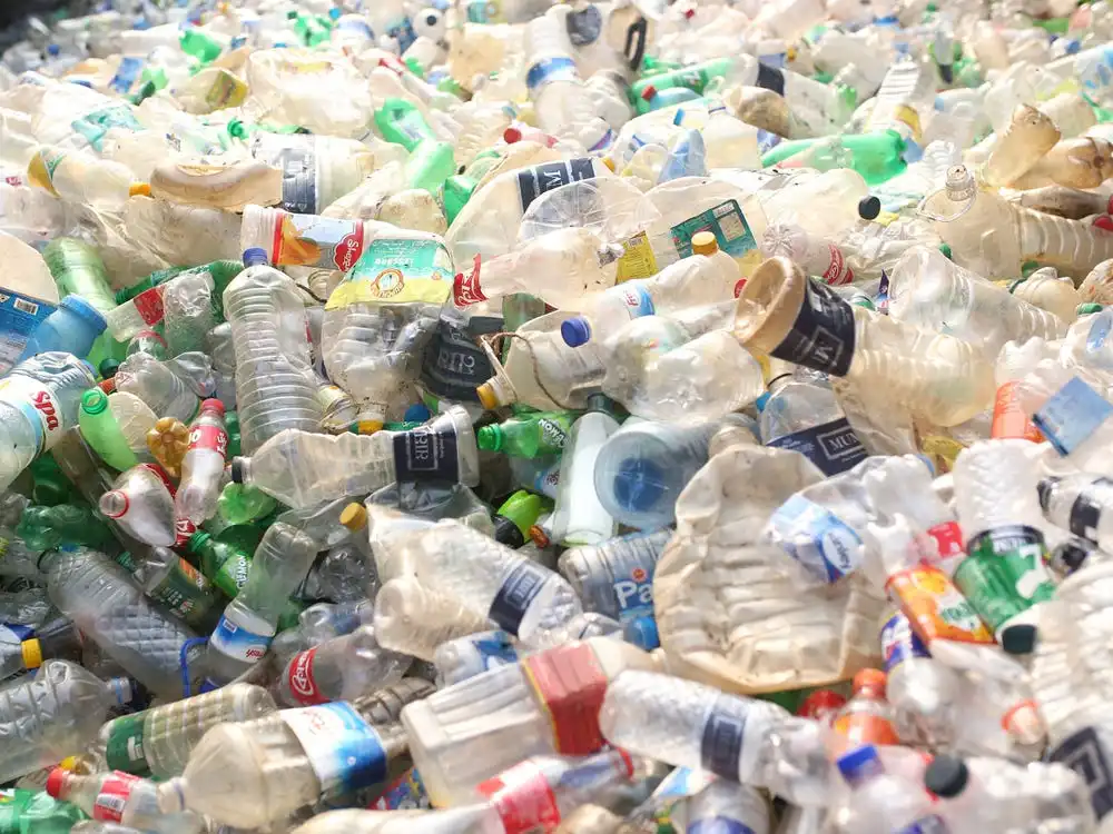 大企業のサステナブルな取り組みによって、プラスチックボトルのゴミは今、特別な価値を持っている。