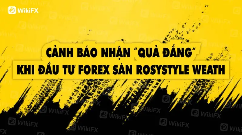 CẢNH BÁO NHẬN “QUẢ ĐẮNG“ KHI ĐẦU TƯ FOREX SÀN ROSYSTYLE WEATH