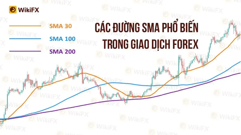 Phan-Tich-Ky-Thuat--Dec-02-2.jpg Phan-Tich-Ky-Thuat--Dec-02-2.jpg