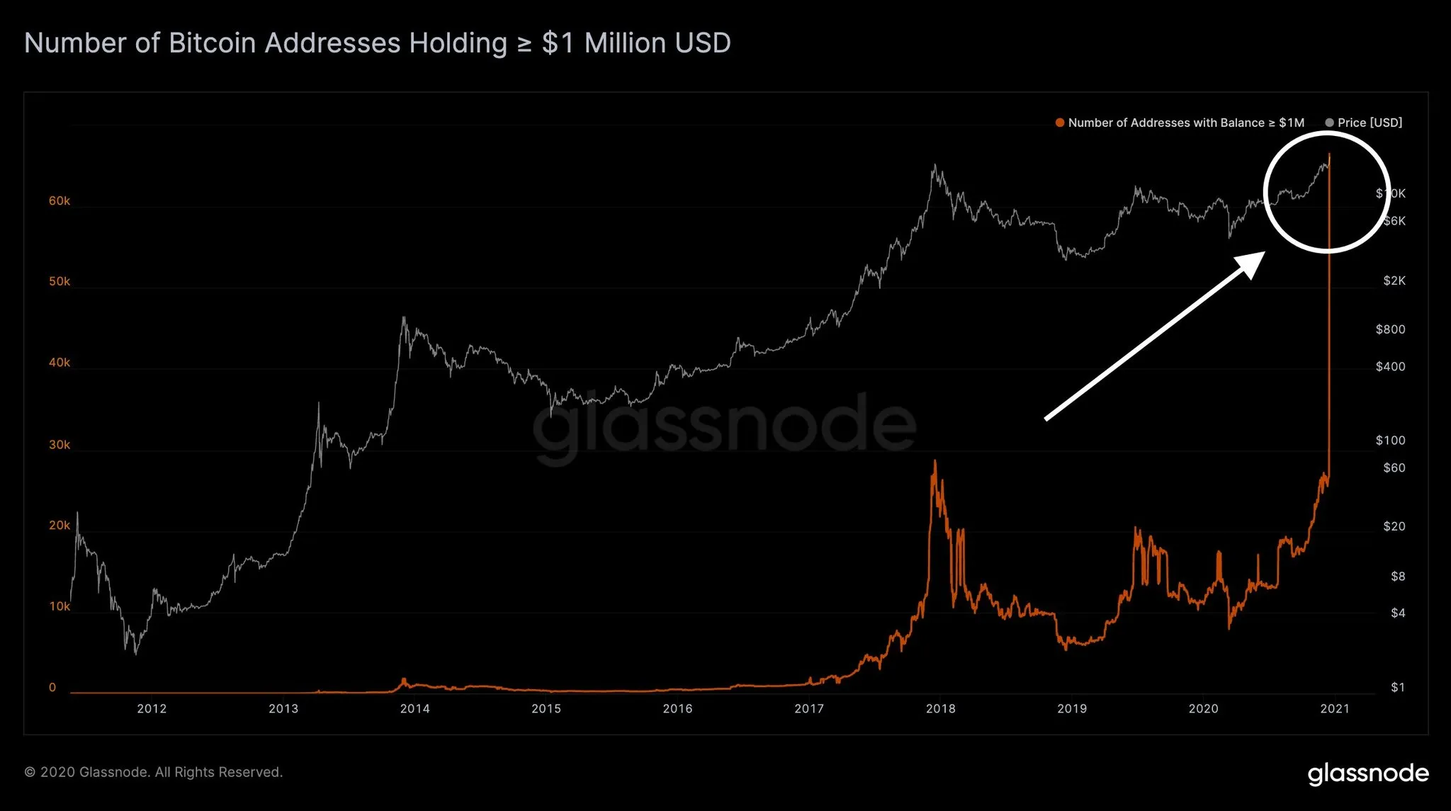 glassnode glassnode