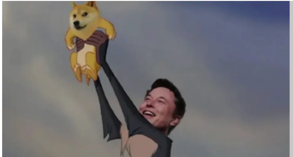 Musk Musk