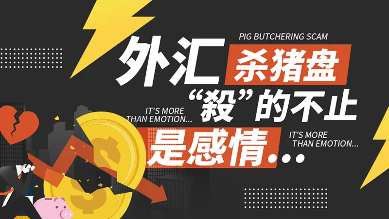 文章头图 文章头图