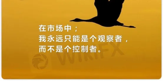 交易老手分享：趨勢+形態只分析三個要素，K線、均線、成交量