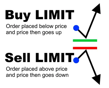 buy 