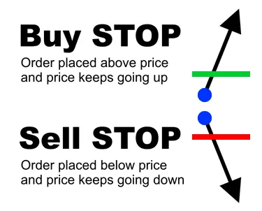 buy 