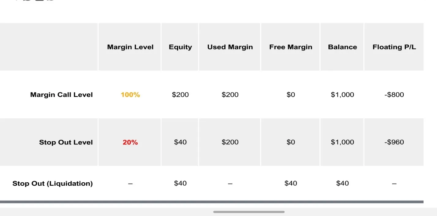margin 