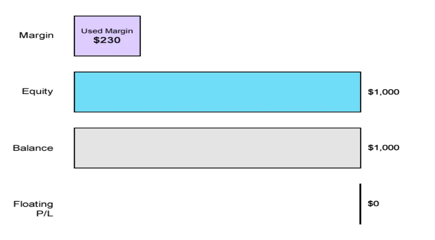 margin, 