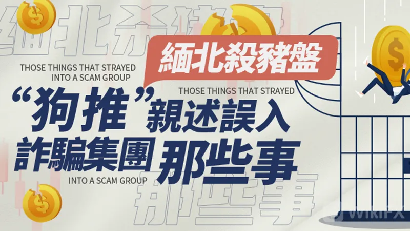 緬北殺豬盤狗推親述誤入詐騙集團那些事 緬北殺豬盤狗推親述誤入詐騙集團那些事