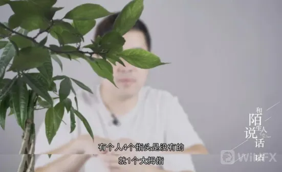 緬北殺豬盤狗推親述誤入詐騙集團那些事 緬北殺豬盤狗推親述誤入詐騙集團那些事