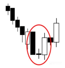 13.png