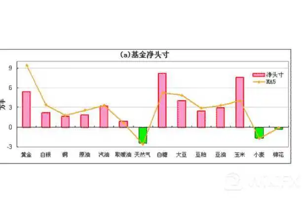 净多头头寸什么意思 净多头头寸什么意思