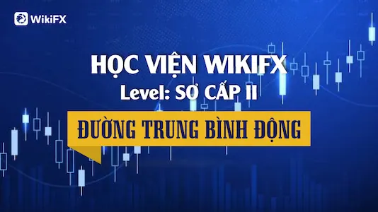 Đường Trung Bình Động Là Gì?