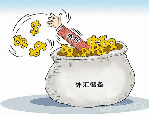 中国的外汇储备 中国的外汇储备