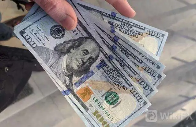 外汇占款数据如何查询