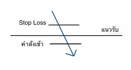ๅพ8.jpg