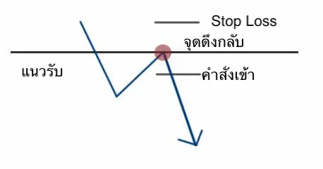 ๅพ9.jpg