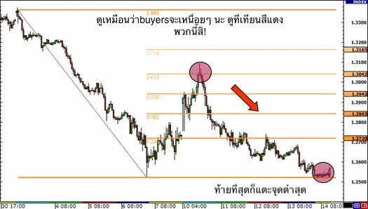 ๅพ3.jpg