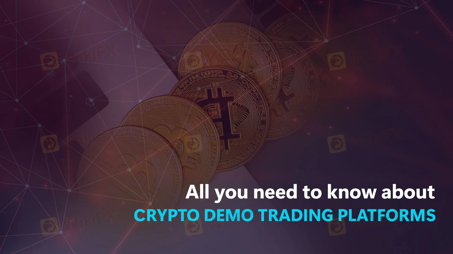 All-you-need-to-know-about-Crypto-demo-trading-platforms.jpeg