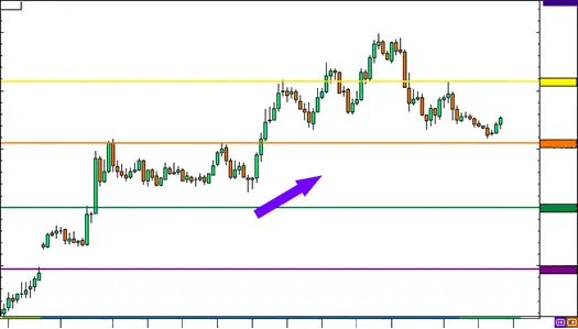 Medir el sentimiento del mercado  FOREX-WIKIFX